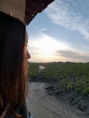 20160524_074021 (675x900)