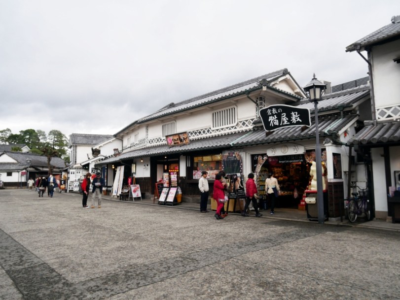 P1050397 (900x676).jpg